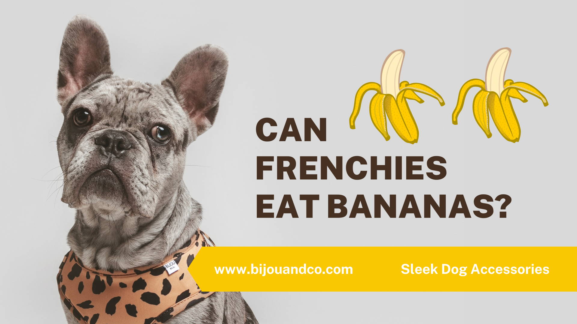🍌Can French Bulldogs Eat Bananas? Bijou and Co.